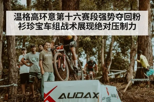 温格高环意第十六赛段强势夺回粉衫珍宝车组战术展现绝对压制力 | kaiyun